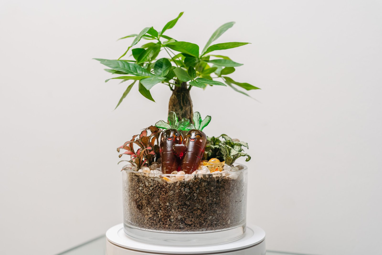 The Lucky Harvest Garden<br>幸运丰收园 (Pre Order) - Image 2