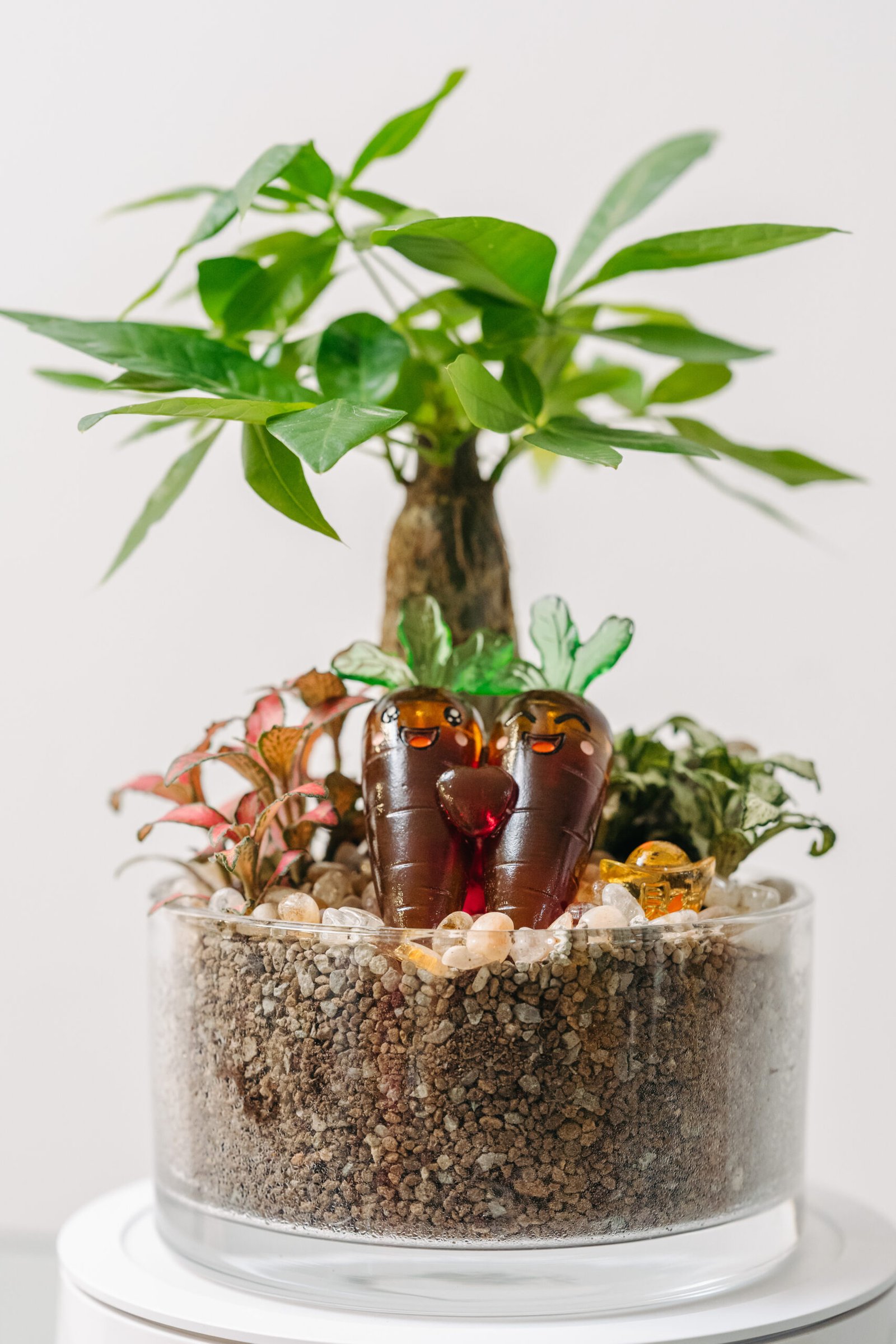 The Lucky Harvest Garden<br>幸运丰收园 (Pre Order) - Image 6